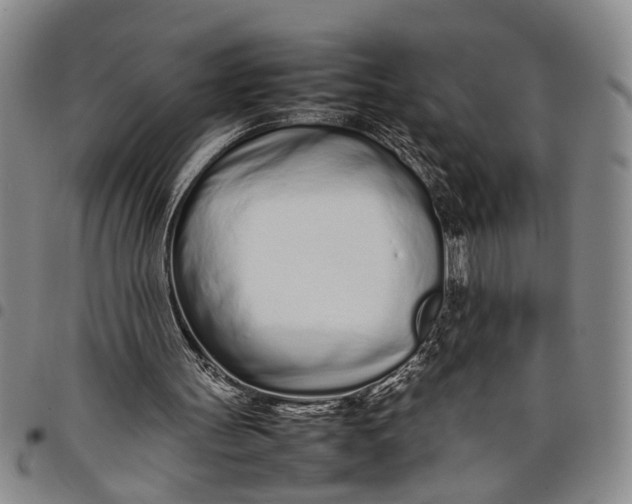 X0000097960147200804141036