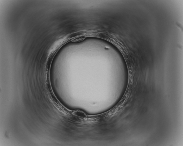 X0000097960149200804141036