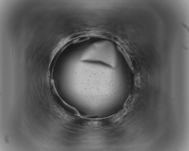 X0000097960152200804141036