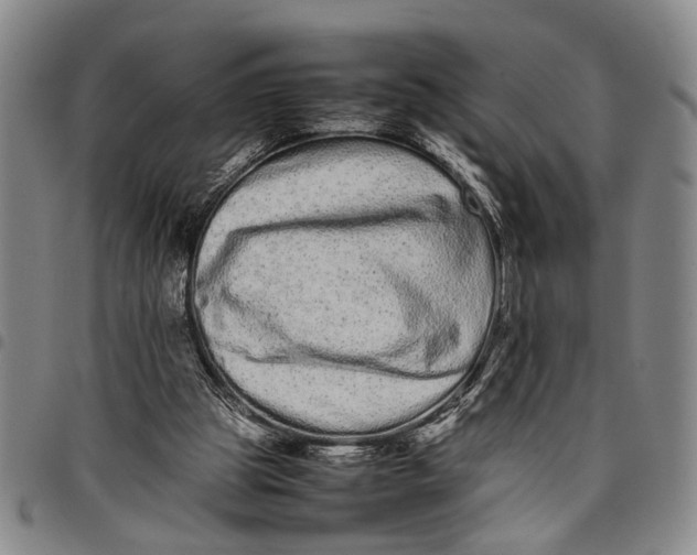 X0000097960153200804141036