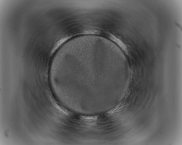 X0000097960155200804141036