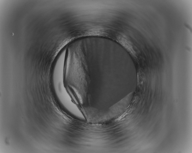 X0000097960156200804141036