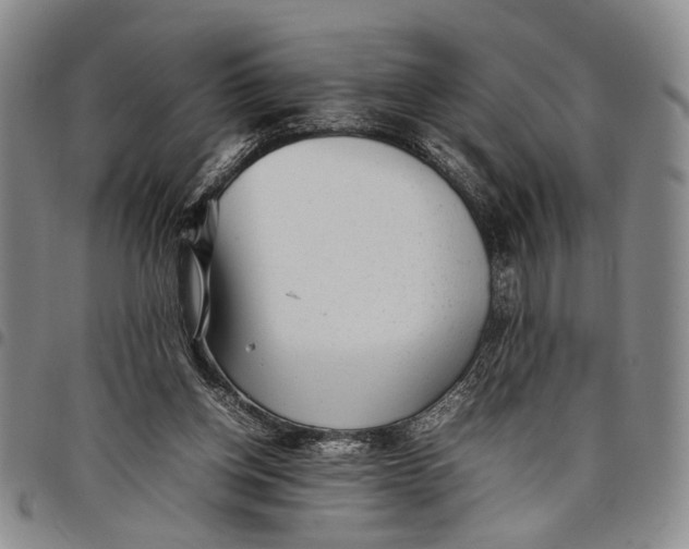 X0000097960158200804141036