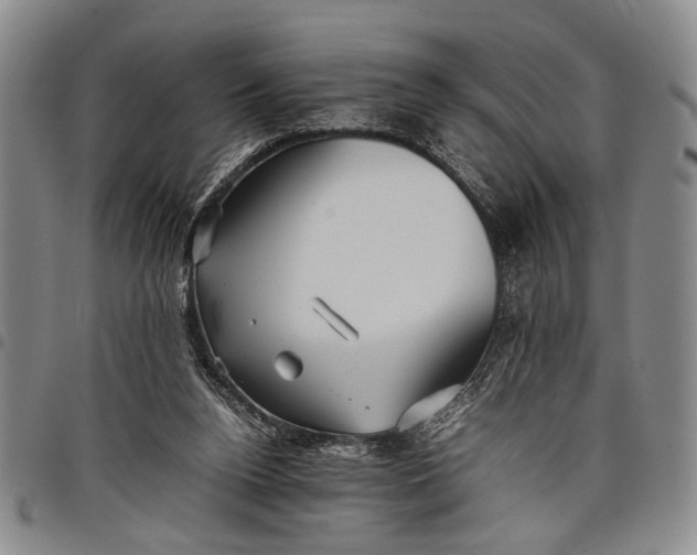 X0000097960160200804141036