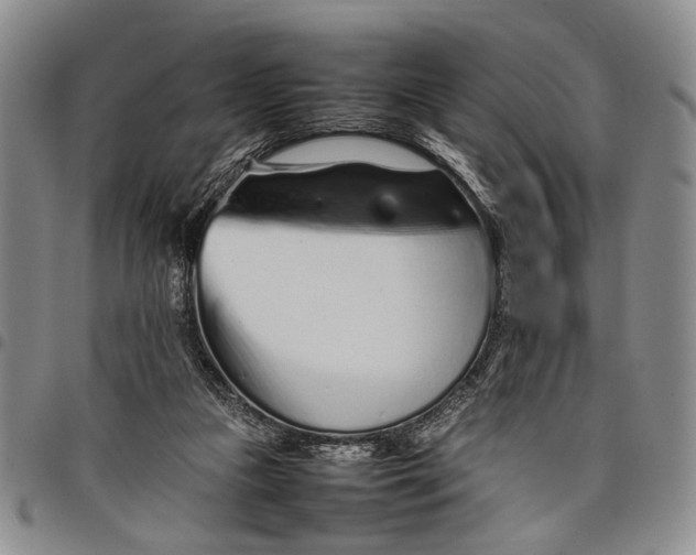 X0000097960161200804141036