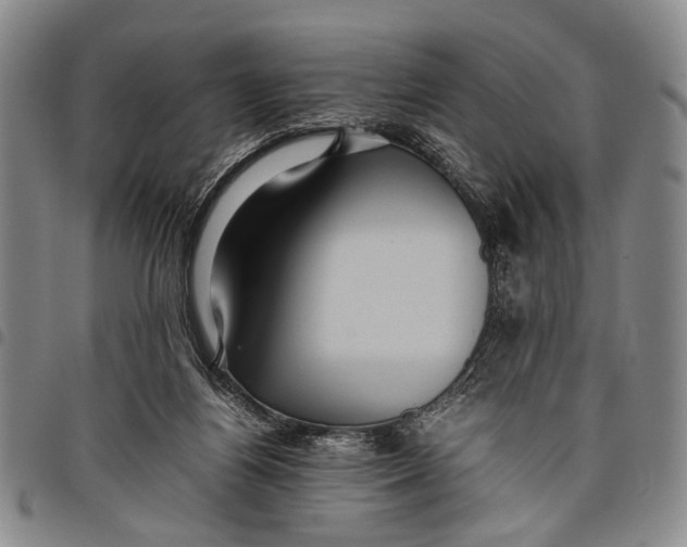 X0000097960164200804141036