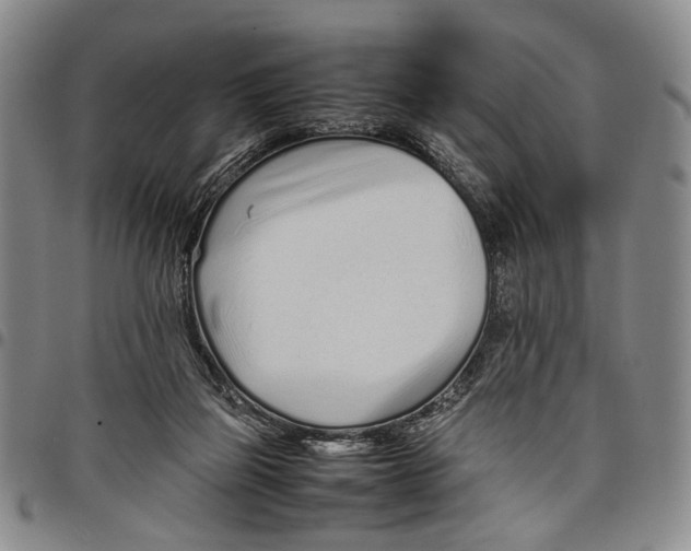 X0000097960165200804141036
