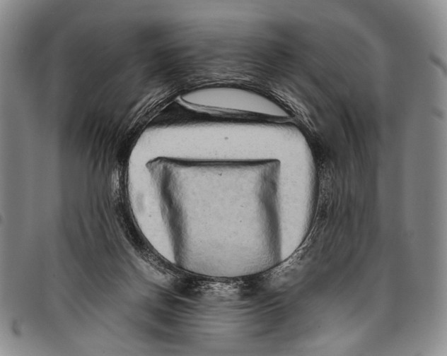 X0000097960166200804141036