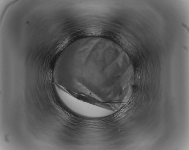 X0000097960168200804141036