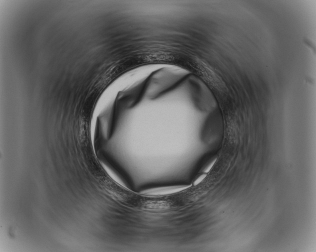 X0000097960169200804141036