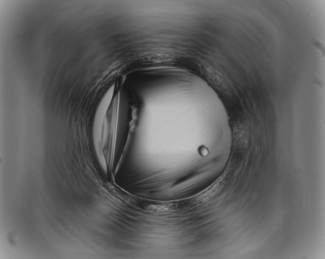 X0000097960170200804141036
