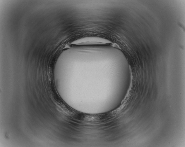 X0000097960174200804141036