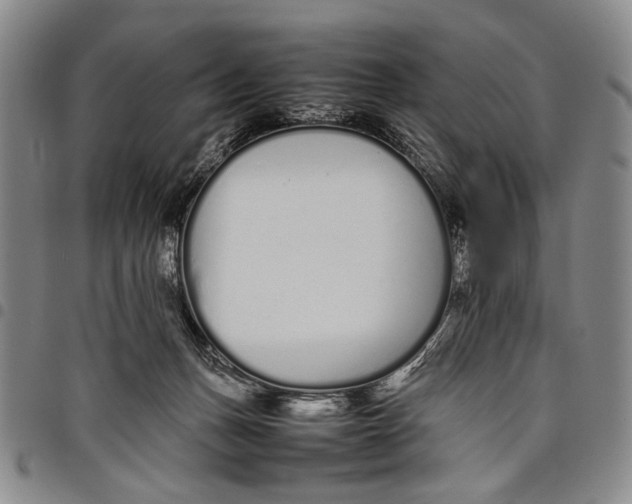 X0000097960175200804141036