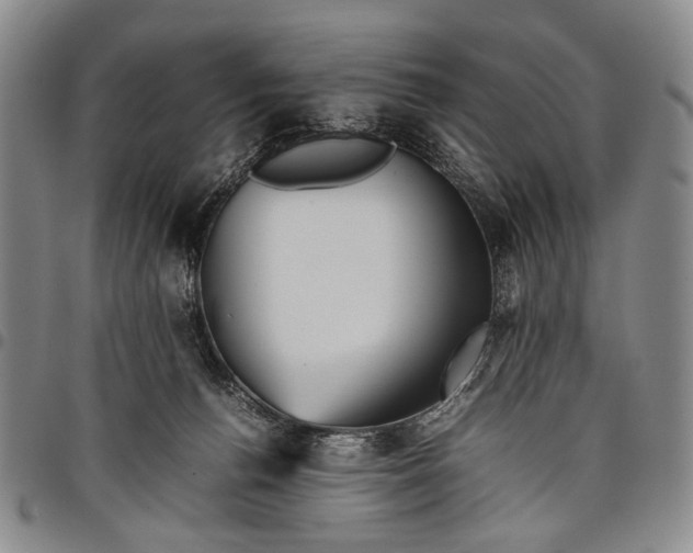 X0000097960176200804141036