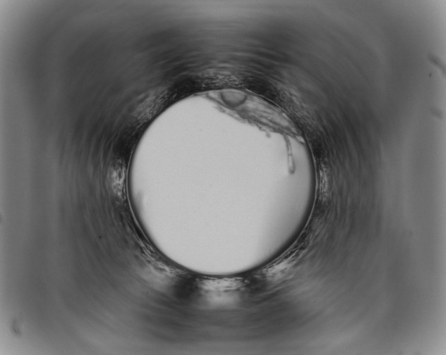 X0000097960177200804141036