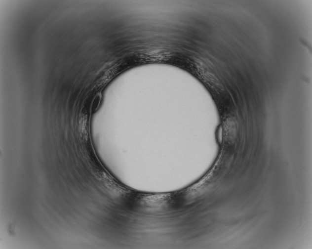 X0000097960178200804141036