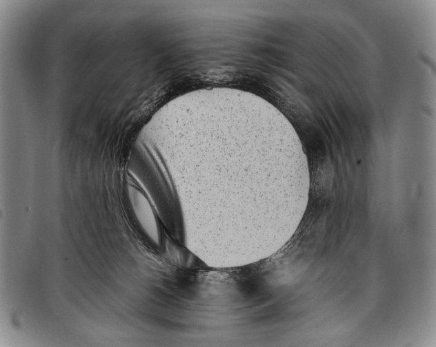 X0000097960180200804141036