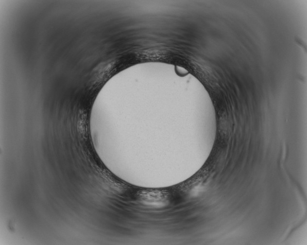 X0000097960181200804141036