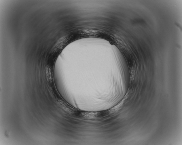 X0000097960182200804141036