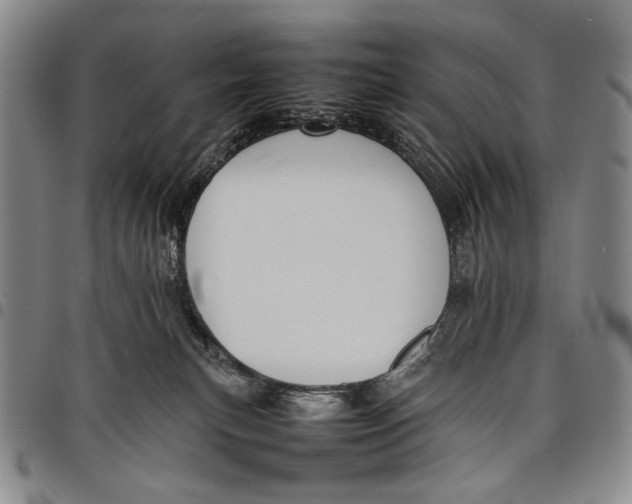 X0000097960183200804141036