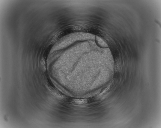 X0000097960187200804141036