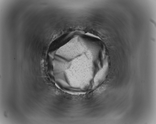 X0000097960192200804141036