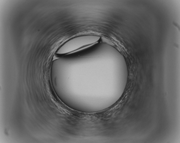 X0000097960193200804141036