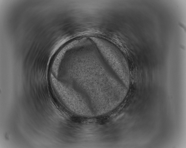 X0000097960196200804141036