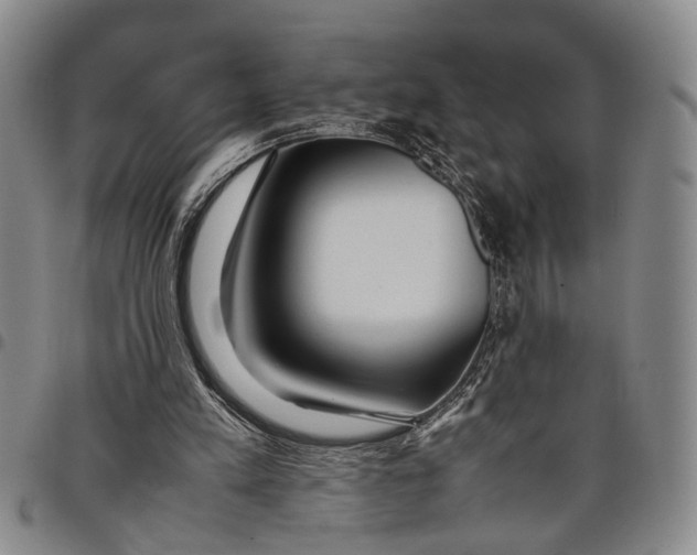X0000097960197200804141036
