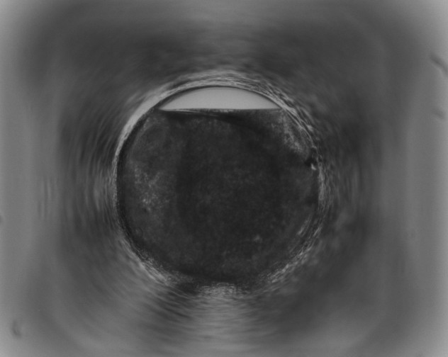 X0000097960200200804141036