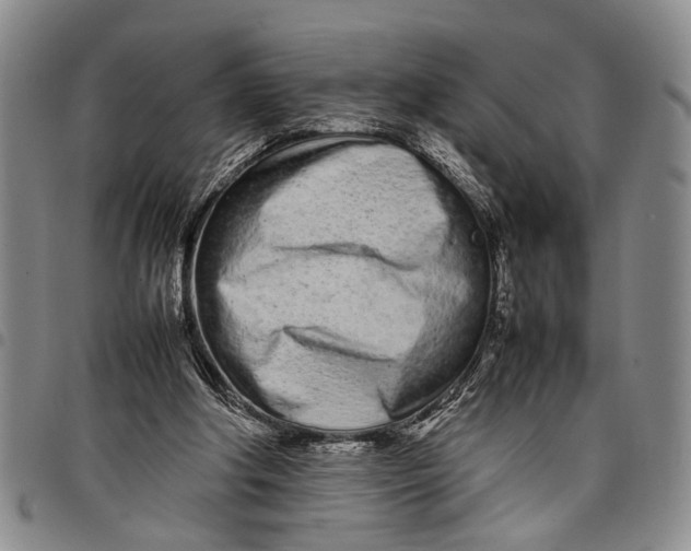 X0000097960202200804141036