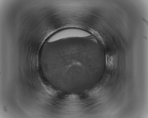 X0000097960204200804141036