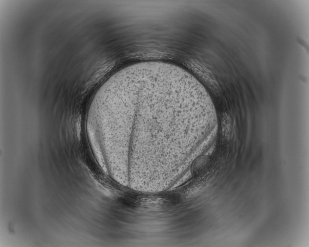 X0000097960206200804141035
