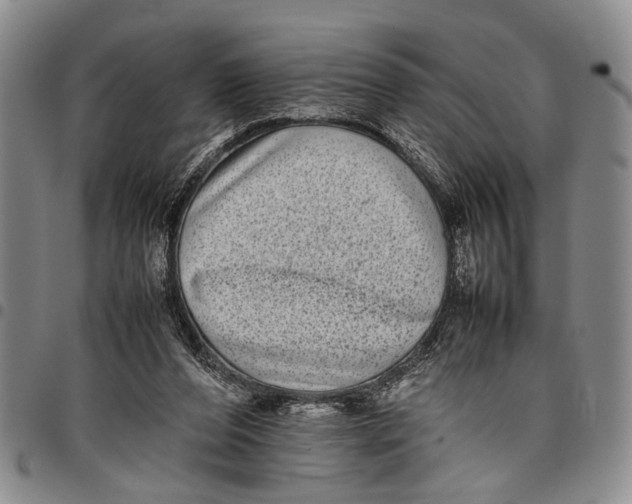 X0000097960208200804141035