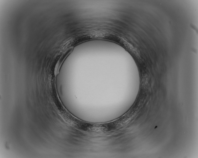 X0000097960209200804141035