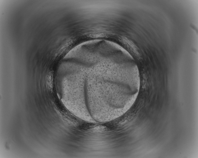 X0000097960210200804141035