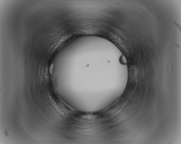 X0000097960212200804141035