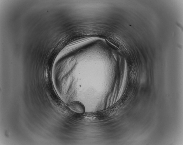 X0000097960214200804141035