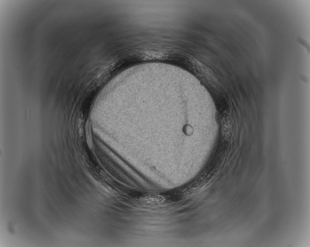 X0000097960215200804141035