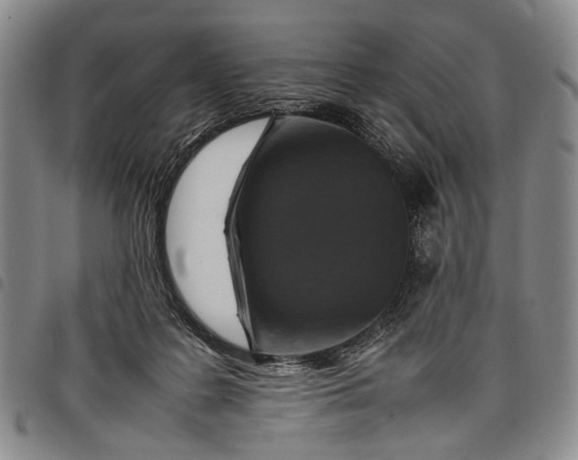 X0000097960219200804141035