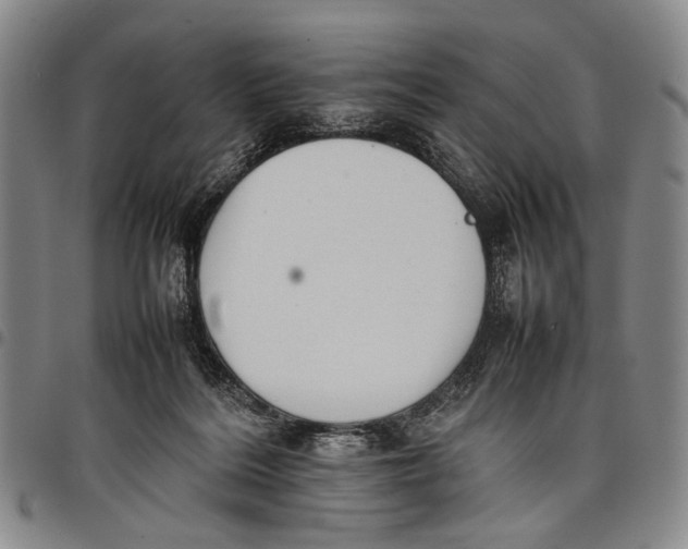 X0000097960220200804141035