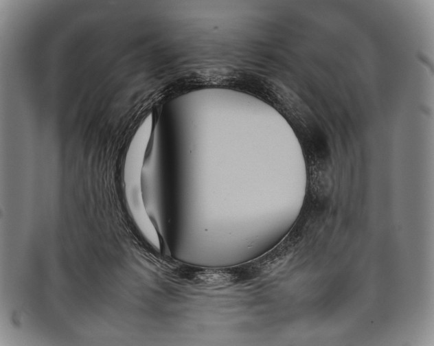 X0000097960221200804141035