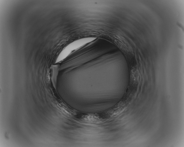 X0000097960223200804141035