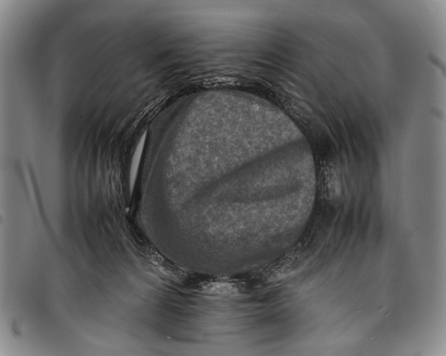 X0000097960224200804141035