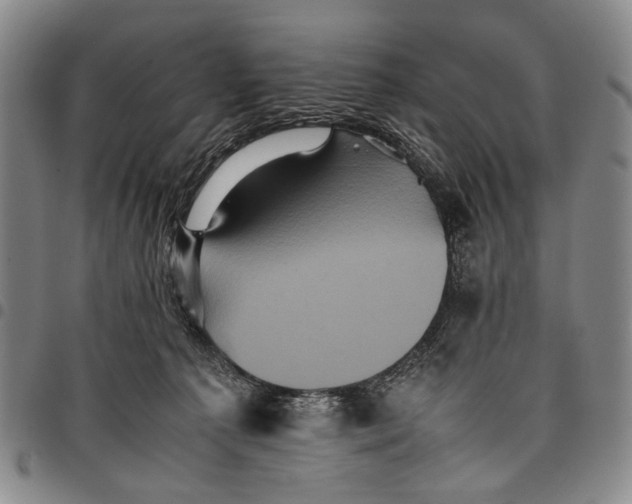 X0000097960225200804141035