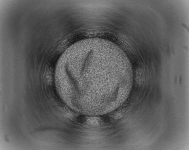 X0000097960226200804141035