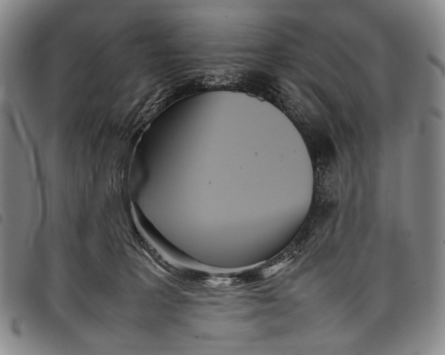 X0000097960227200804141035