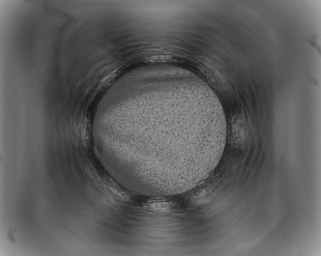 X0000097960228200804141035