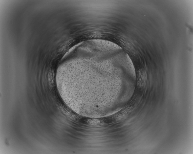 X0000097960230200804141035