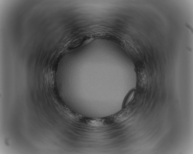 X0000097960232200804141035
